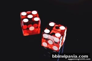 AG真人 bbinvipasia